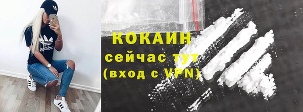 спиды Нефтекумск