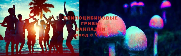 спайс Нея