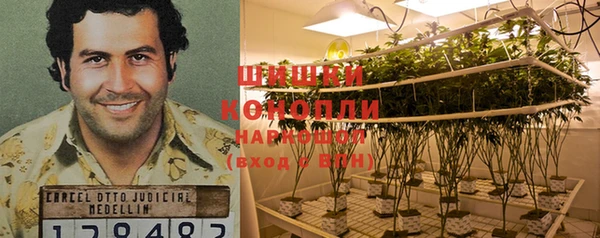 спиды Нефтекумск