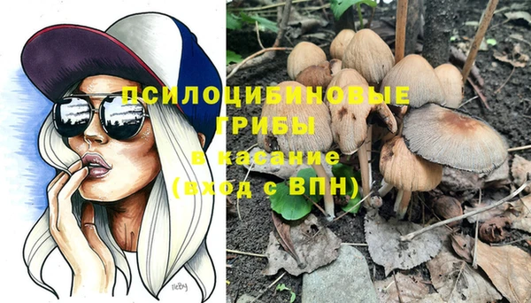спайс Нея