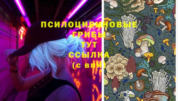 спайс Нея