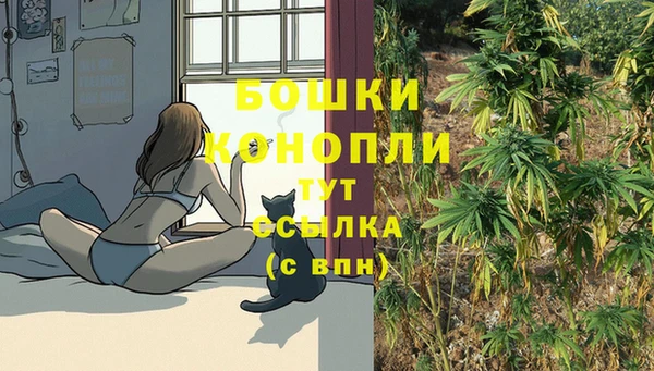 спиды Нефтекумск