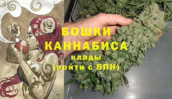 спайс Нея