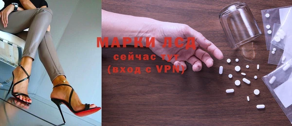 спайс Нея
