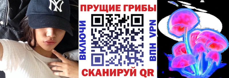 Псилоцибиновые грибы MAGIC MUSHROOMS  Купить где  Карачев 